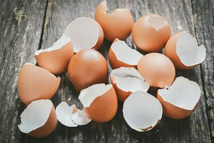 雅冉水溶肥怎么样19191920有什效果