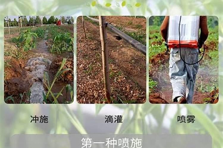 香瓜膨大剂和芸苔素同时用吗