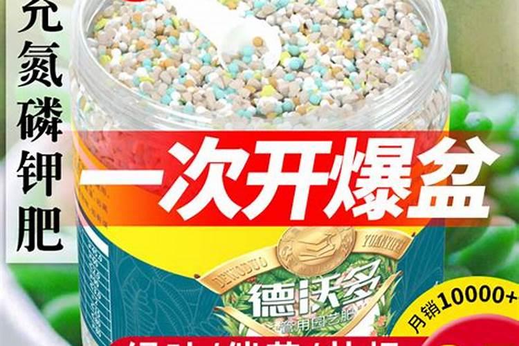 杨树肥害多长时间会死