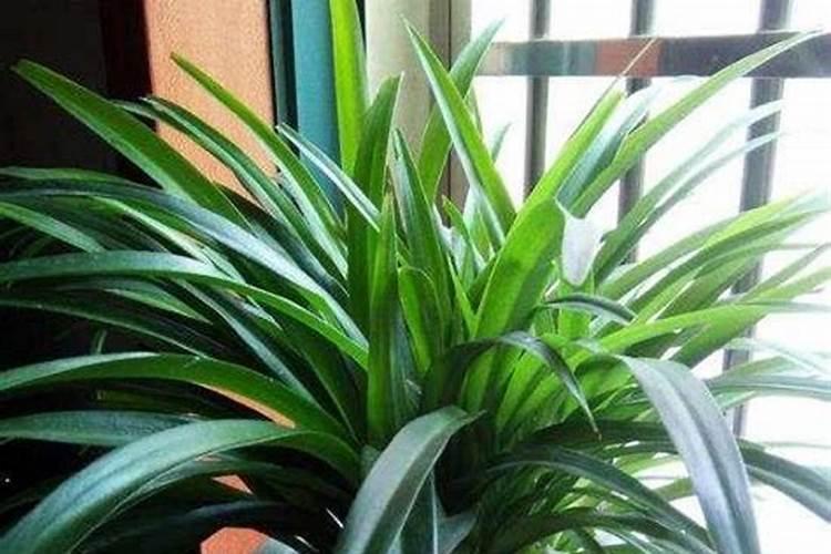 怎样提高圆盘造粒机产量？