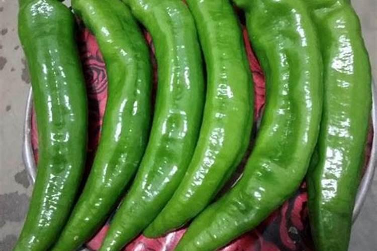 辣椒喷什么叶面肥结果多？辣椒膨大期是什么时候？用什么肥料长势好？