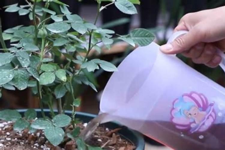 请问沤有机肥:有氧与无氧沤肥哪个比较好,各适用于什么场合？