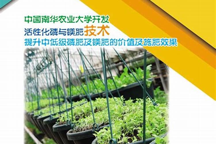 镁肥有哪些品种？