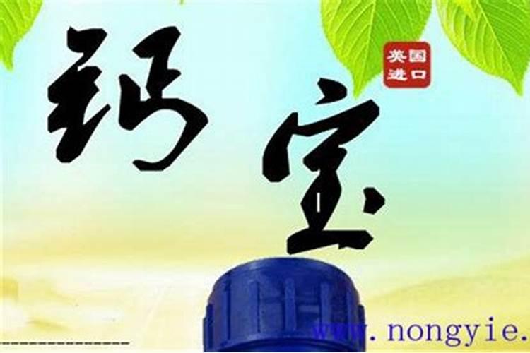 2024年中国钾肥进口大合同达成