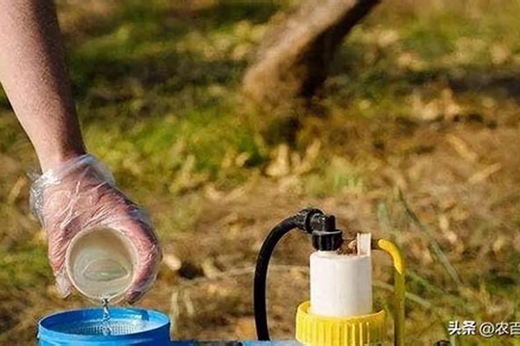 杀菌剂灌根前后,需要注意的事项是什么呢？