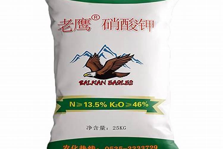 麻山药种植方法和注意事项