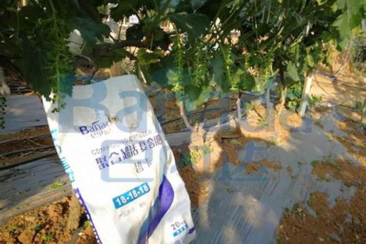 水溶肥执行标准是什么