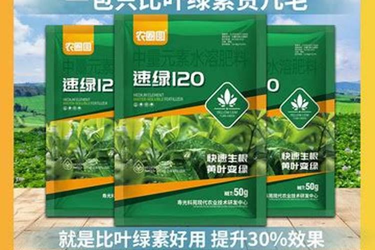 速绿120叶面肥效果怎么样