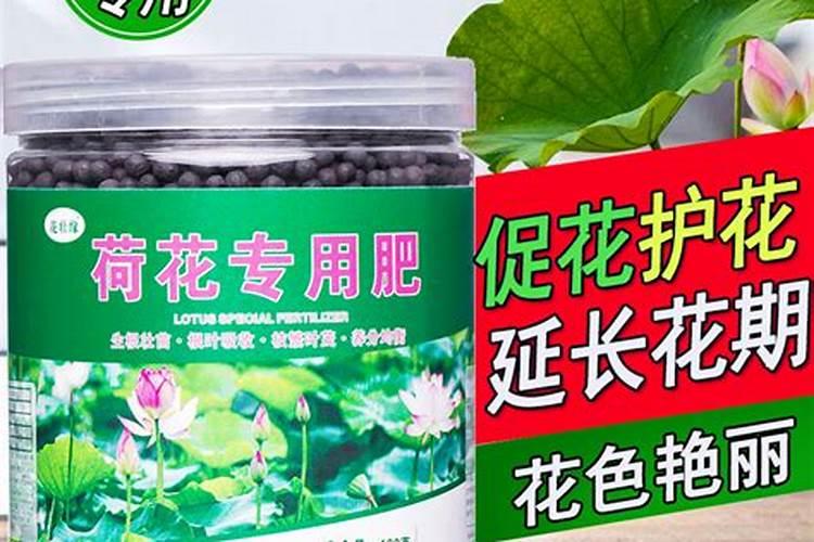 提高果实硬度的办法有哪些？葡萄为什么会出现软粒？怎么解决？