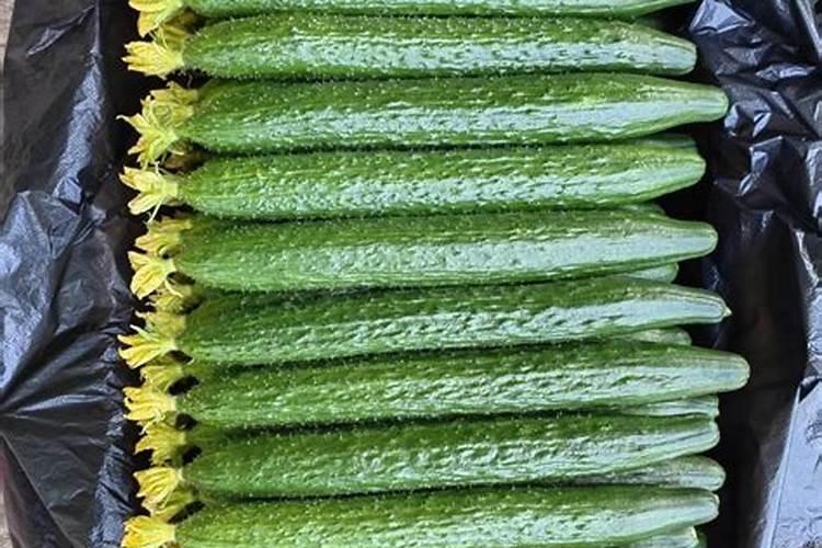 种大蒜用硝酸磷钾肥还需缓释肥吗