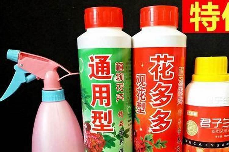 若想做出好吃的烤肉饭,肉要提前烤多久才合适呢？