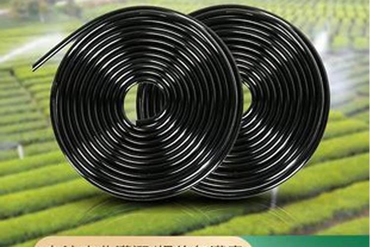 分析不同浓度生长素对小麦胚芽鞘伸长的生理作用及原理