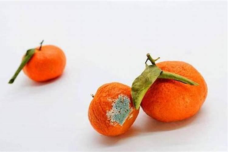 山东出口最好水溶肥料品牌