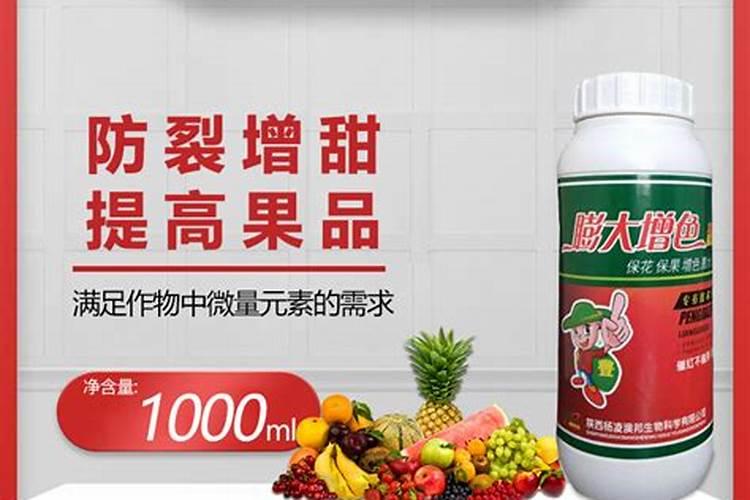 一年的桃树,为什么叶子变黄,就慢慢的死去？