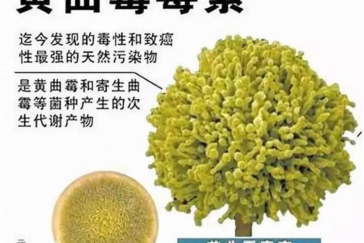 氢氧化钾和氰化钾有什么区别