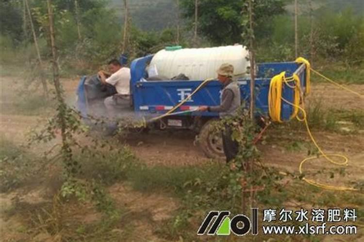 安琪酵母有几种颜色的包装