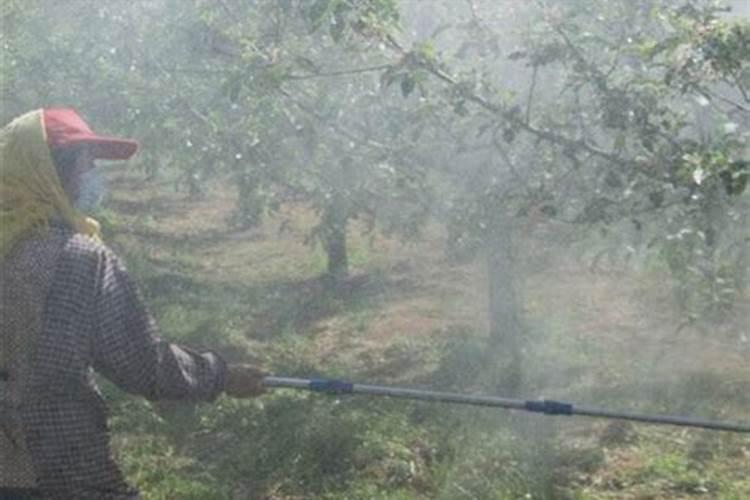 钾肥是什么肥料 植物缺少钾肥会怎么样