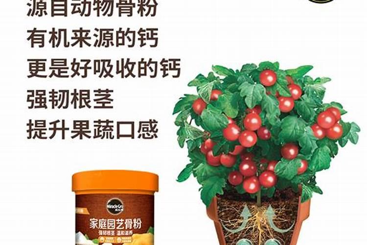 11月2日汉中发布调整城固县风险区通告