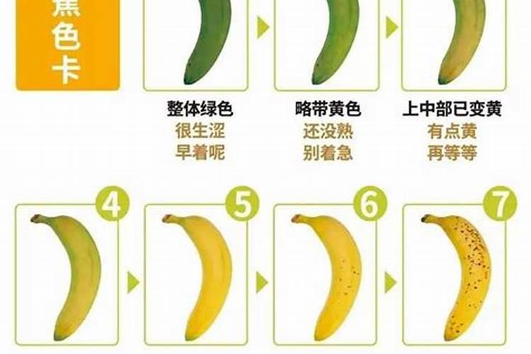 长寿花施尿素的正确方法