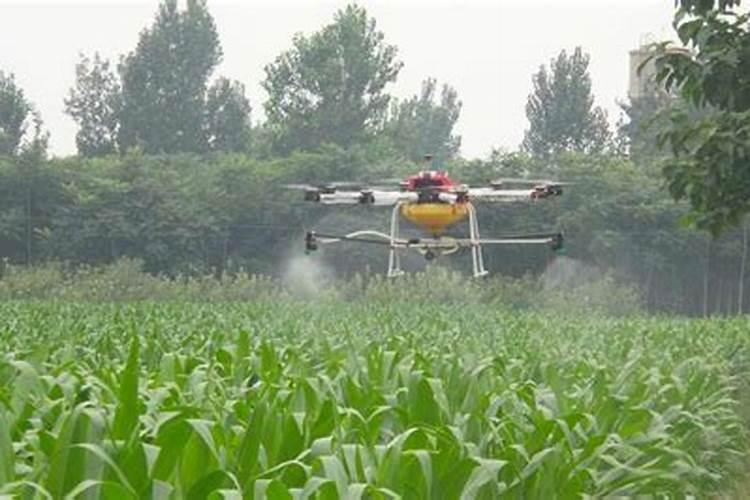 中药材生根用干什么肥料好,中药材壮根灵厂家,中药材壮根灵哪个牌子的...