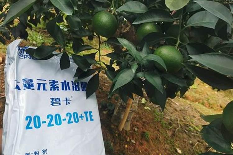 笑话:表扬——小吴对老师说:老师你处罚我吧!我把小东头打破了!老师说...