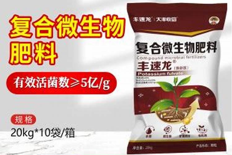 补苗能够影响草莓的产量,草莓栽后怎么补苗,才能获得丰收？