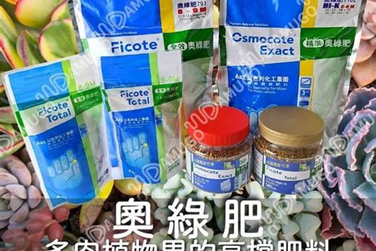 多肉施肥用什么肥料长得壮