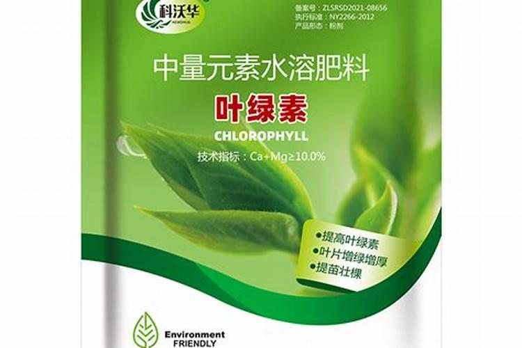 能提苗的玉米专用叶面肥吗？