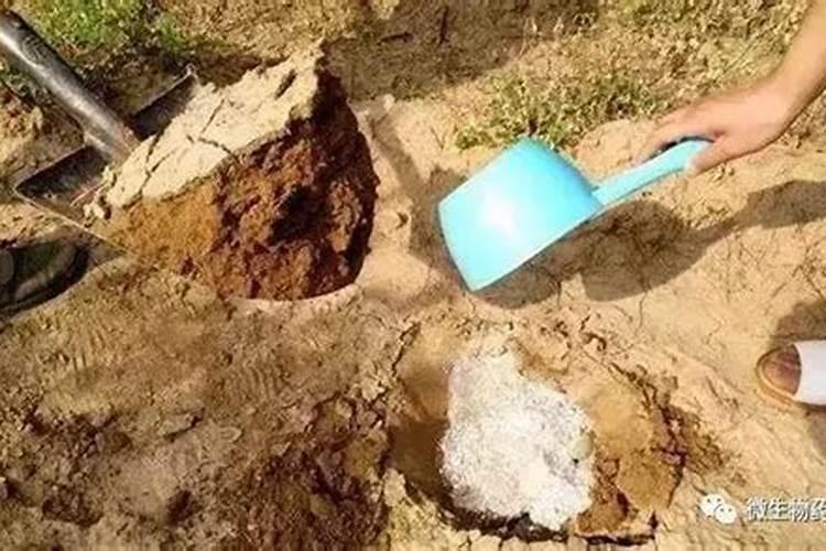 土壤肥力的影响因素