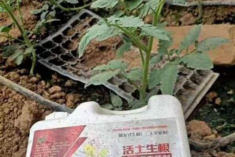 腐植酸钠牙膏的作用及功能