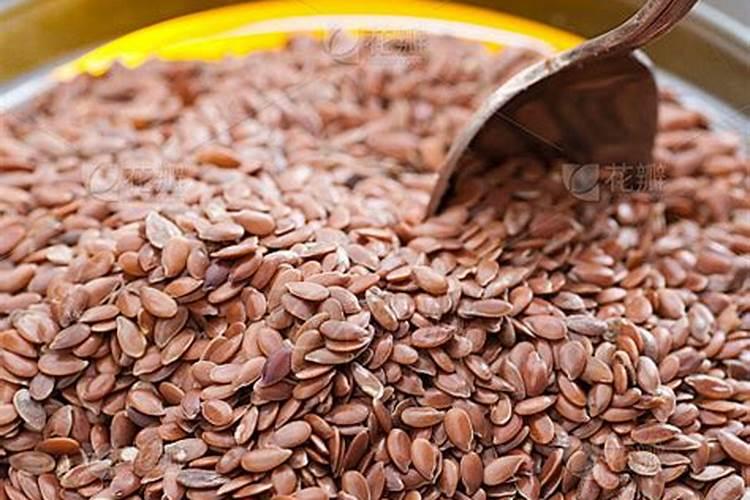 东北种亚麻籽能开花吗