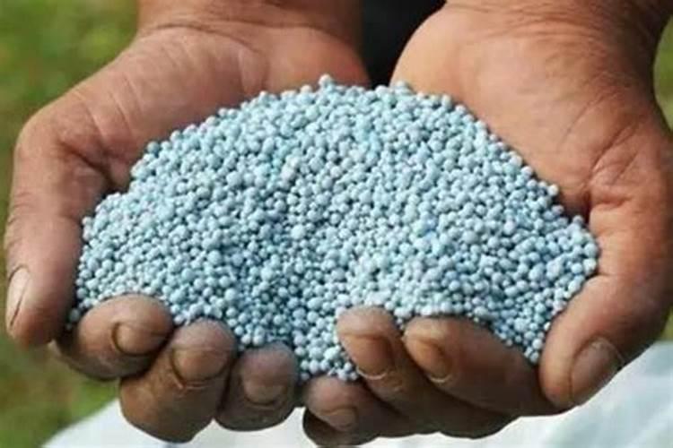 速利硼正确使用方法