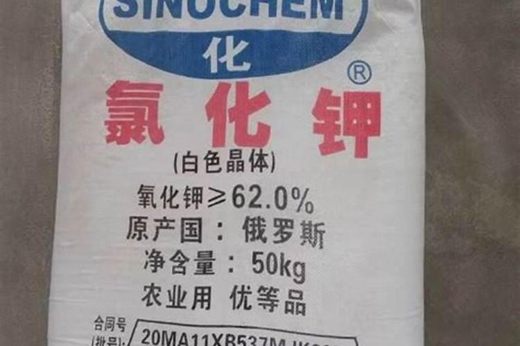 爱好养花的人,在生活中用什么肥料可以避免异味、肥害？