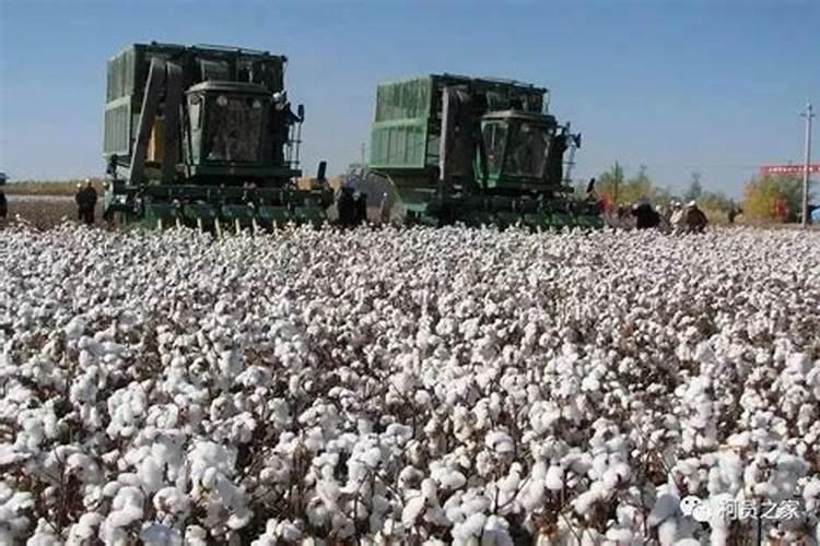 微量元素肥料有几种施用方法？