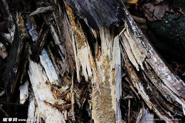 北京雷力海洋生物新产业股份有限公司怎么样？