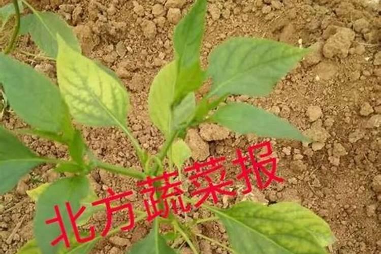 高钾高磷复合肥是危险品吗