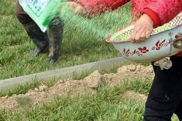 稻草灰保存方法 混后会降低磷的有效性