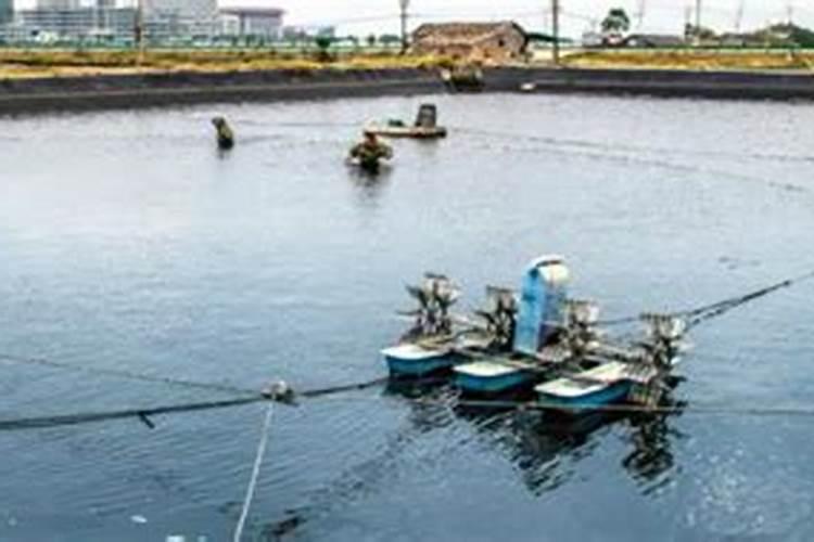 过滤黄泥水有什么不错的办法吗？