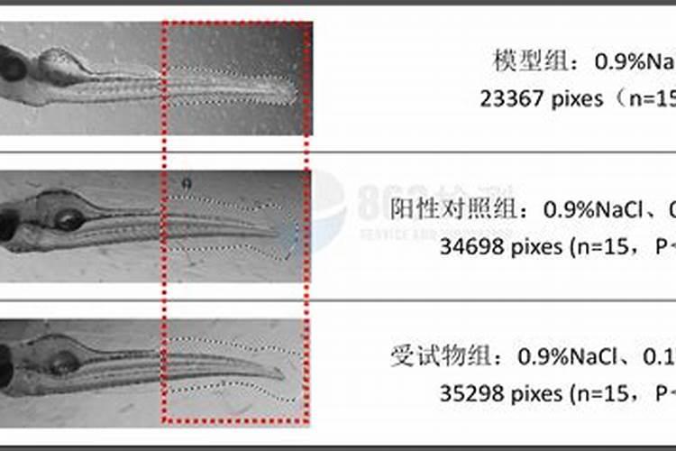 f6蓝莓树势弱条细怎样用肥亩用多少