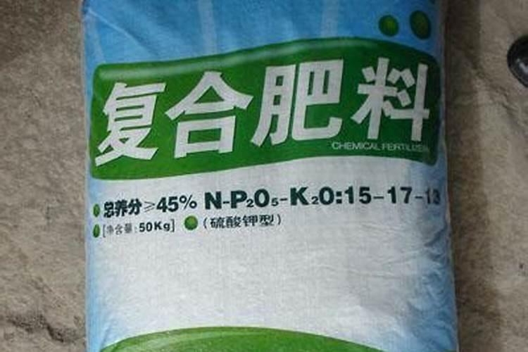 薄荷泡水喝有什么禁忌