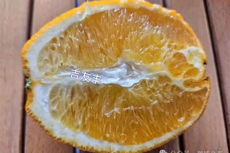 柑橘叶面肥有哪些