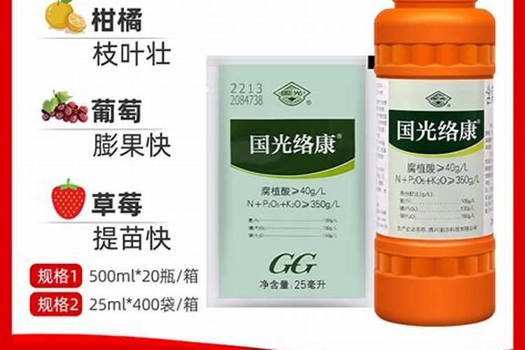 种菜用什么肥料最好