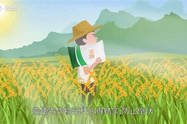 三宁寻原复合肥的特点