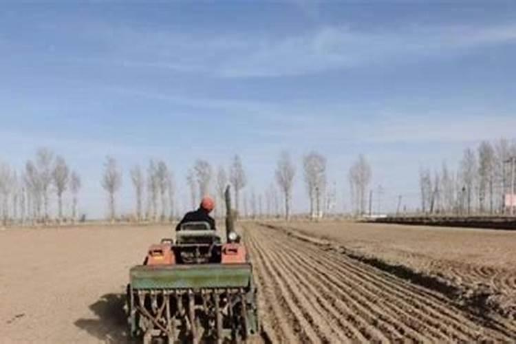 膨大的恐龙对吗