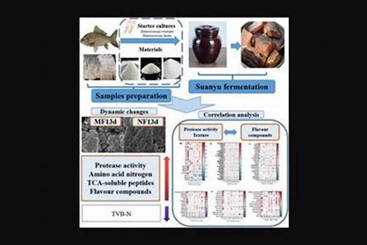什么树可以嫁接果苹？