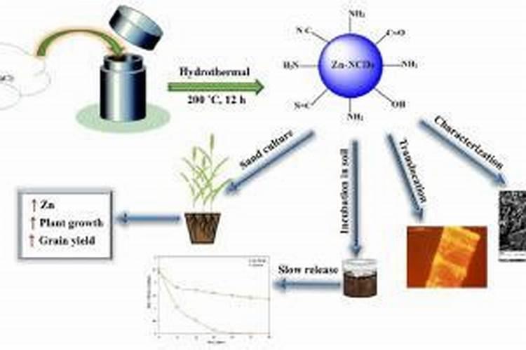 冬春施肥的差异是什么