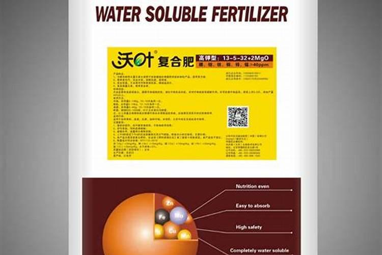 云竹的养殖注意哪些地方？