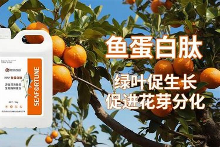 为什么氮肥壮叶磷肥壮茎钾肥壮果