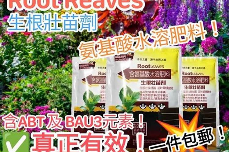 生根粉可以浇花吗