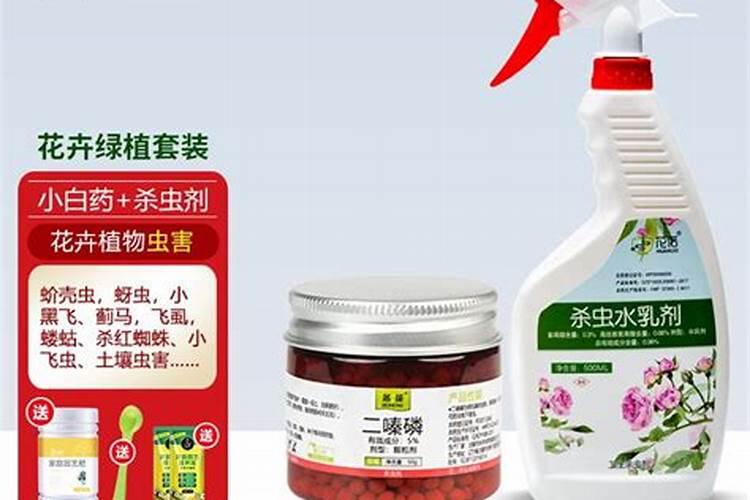花卉入冬后还需要喷多菌灵吗？